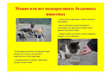 Соблюдайте правила содержания домашних животных!